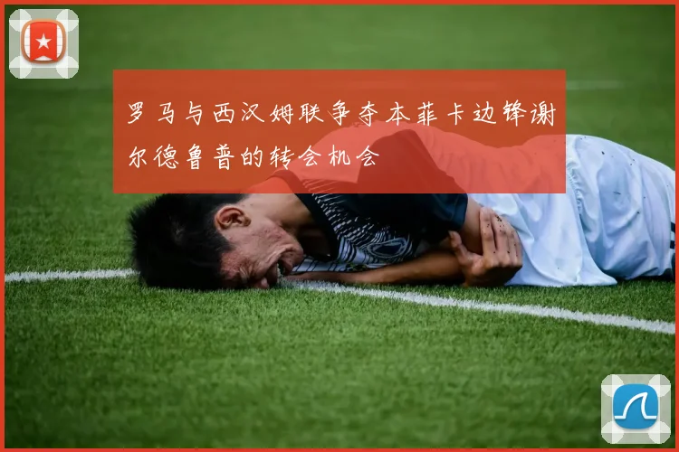 罗马与西汉姆联争夺本菲卡边锋谢尔德鲁普的转会机会